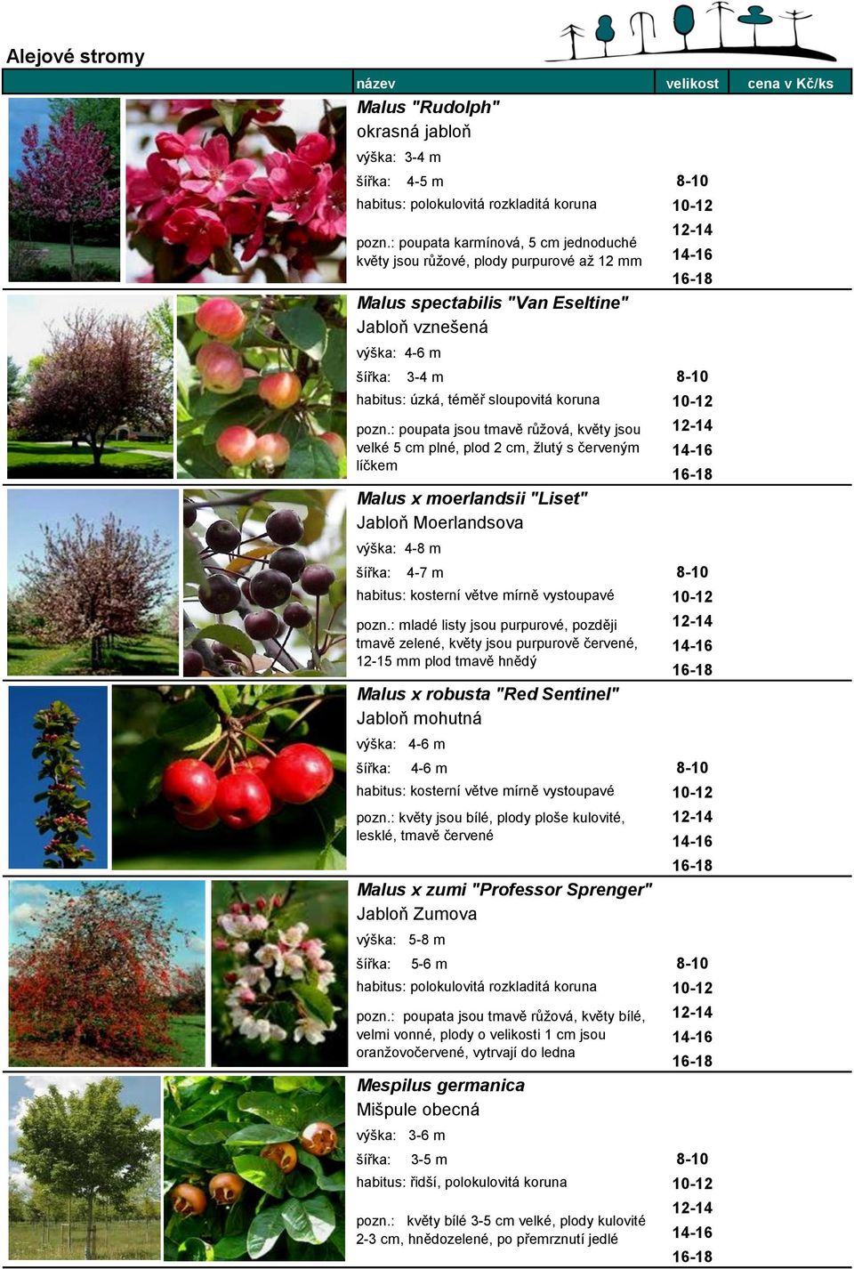 : poupata jsou tmavě růžová, květy jsou velké 5 cm plné, plod 2 cm, žlutý s červeným líčkem Malus x moerlandsii "Liset" Jabloň Moerlandsova výška: 4-8 m 4-7 m 8-10 habitus: kosterní větve mírně