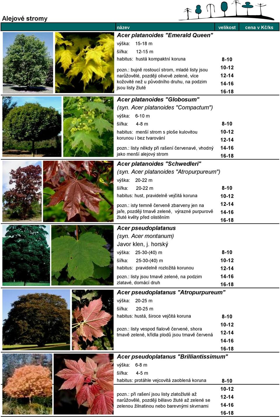 Acer platanoides "Compactum") výška: 6-10 m 4-8 m 8-10 habitus: menší strom s ploše kulovitou korunou i bez tvarování pozn.