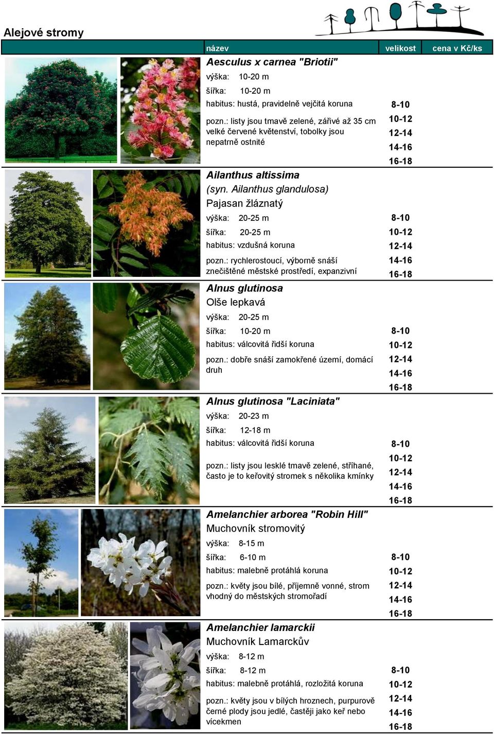 Ailanthus glandulosa) Pajasan žláznatý výška: 20-25 m 8-10 20-25 m habitus: vzdušná koruna pozn.