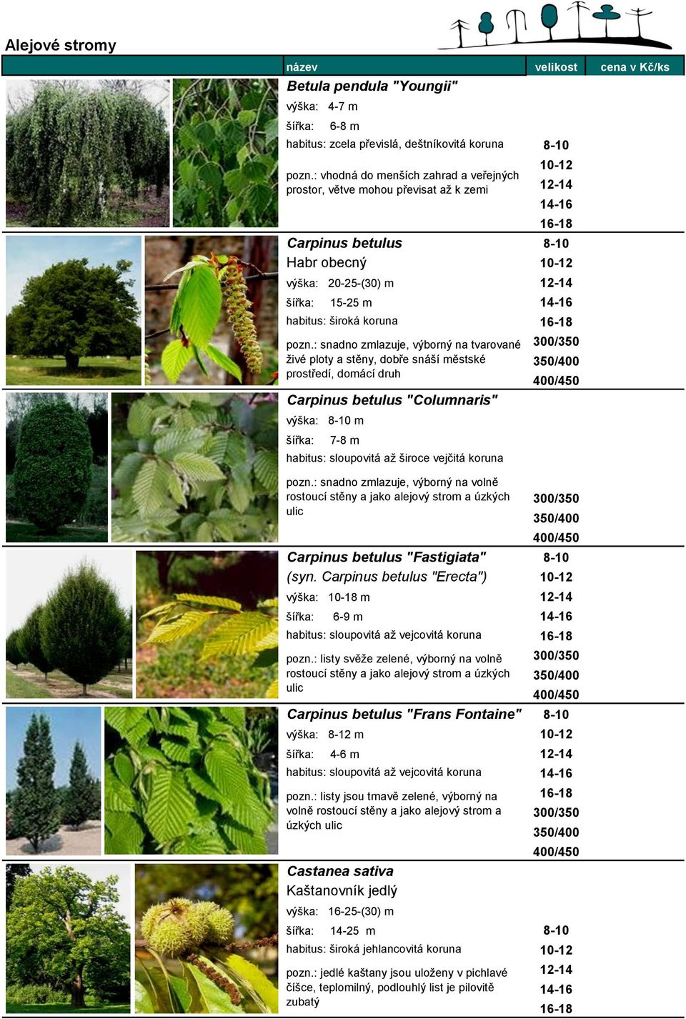 : snadno zmlazuje, výborný na tvarované živé ploty a stěny, dobře snáší městské prostředí, domácí druh Carpinus betulus "Columnaris" 300/350 350/400 400/450 výška: 8-10 m 7-8 m habitus: sloupovitá až