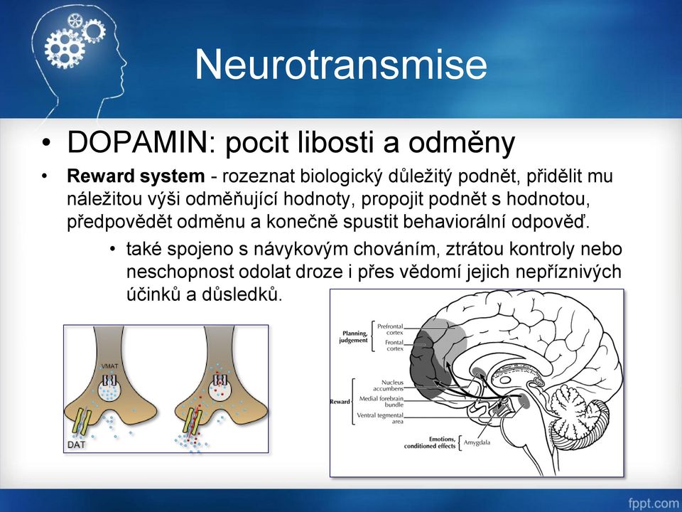 předpovědět odměnu a konečně spustit behaviorální odpověď.