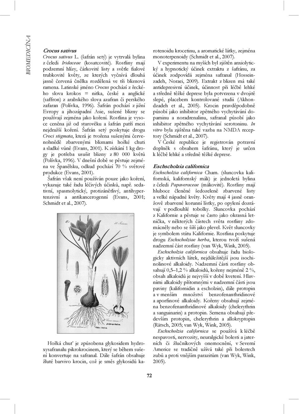 Latinské jméno Crocus pochází z řeckého slova krokos = nitka, české a anglické (saffron) z arabského slova azafran či perského zafaran (Polívka, 1996).