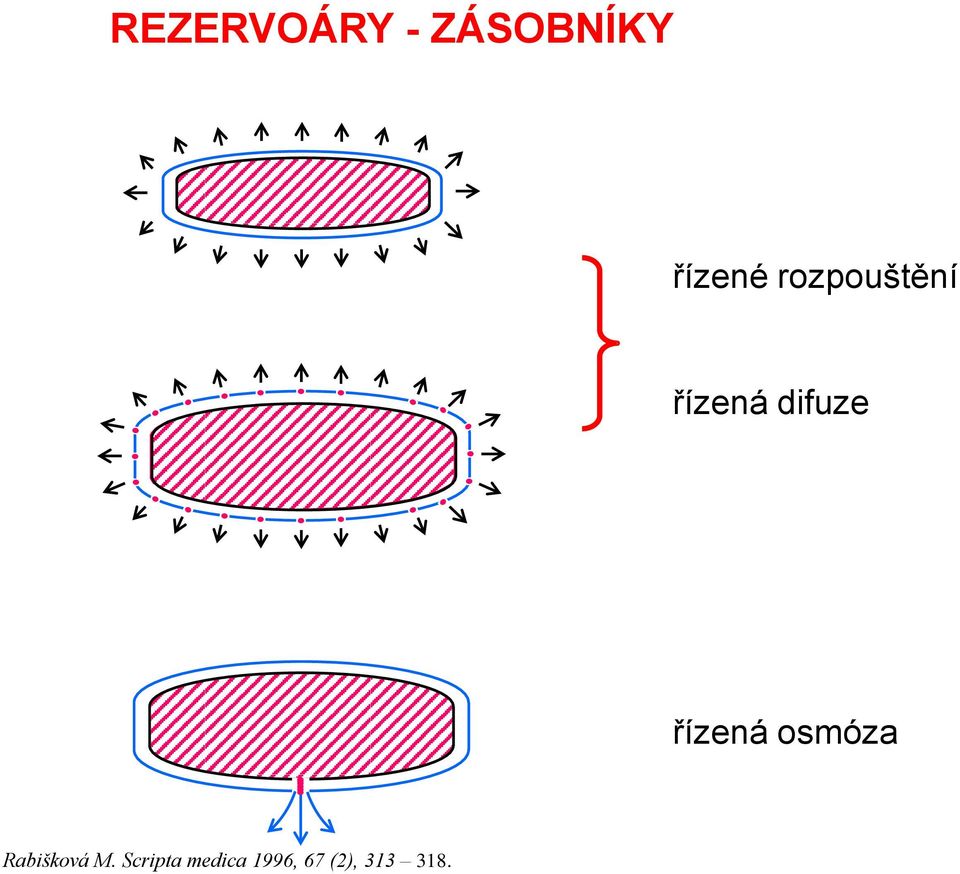 řízená osmóza Rabišková M.