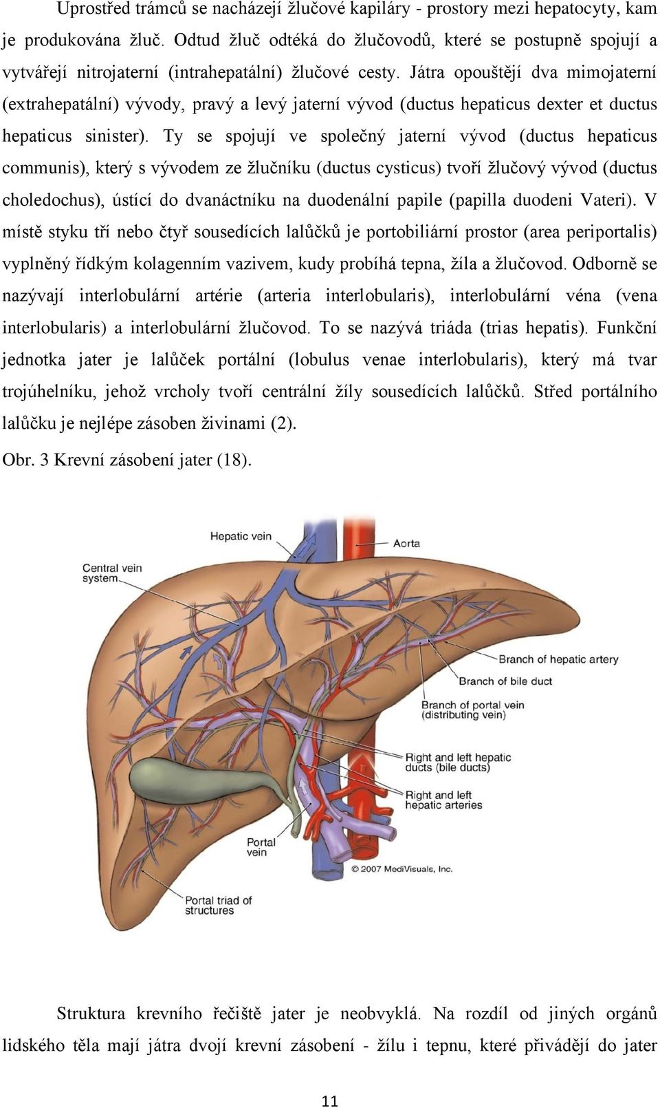 Játra opouštějí dva mimojaterní (extrahepatální) vývody, pravý a levý jaterní vývod (ductus hepaticus dexter et ductus hepaticus sinister).