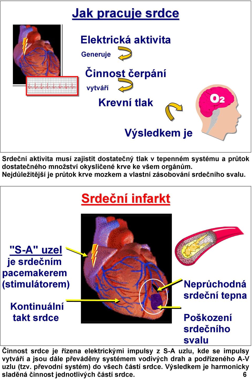 Srdeční č infarkt "S-A" uzel je srdečním pacemakerem (stimulátorem) Kontinuální takt srdce Neprůchodná srdeční tepna Poškození srdečního svalu Činnost srdce je řízena