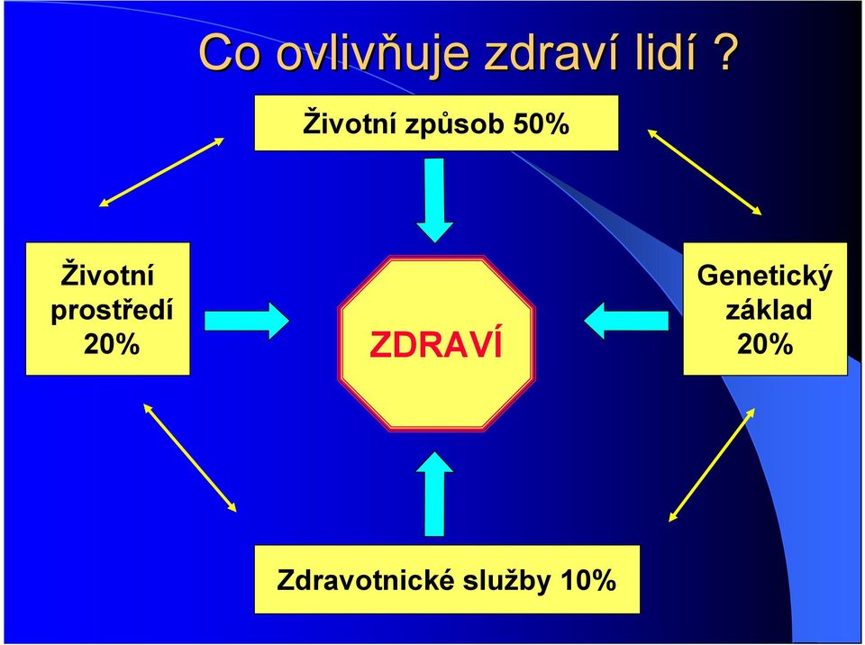 prostředí 20% ZDRAVÍ