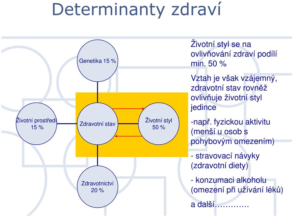 15 % Zdravotní stav Životní styl 5 % -např.