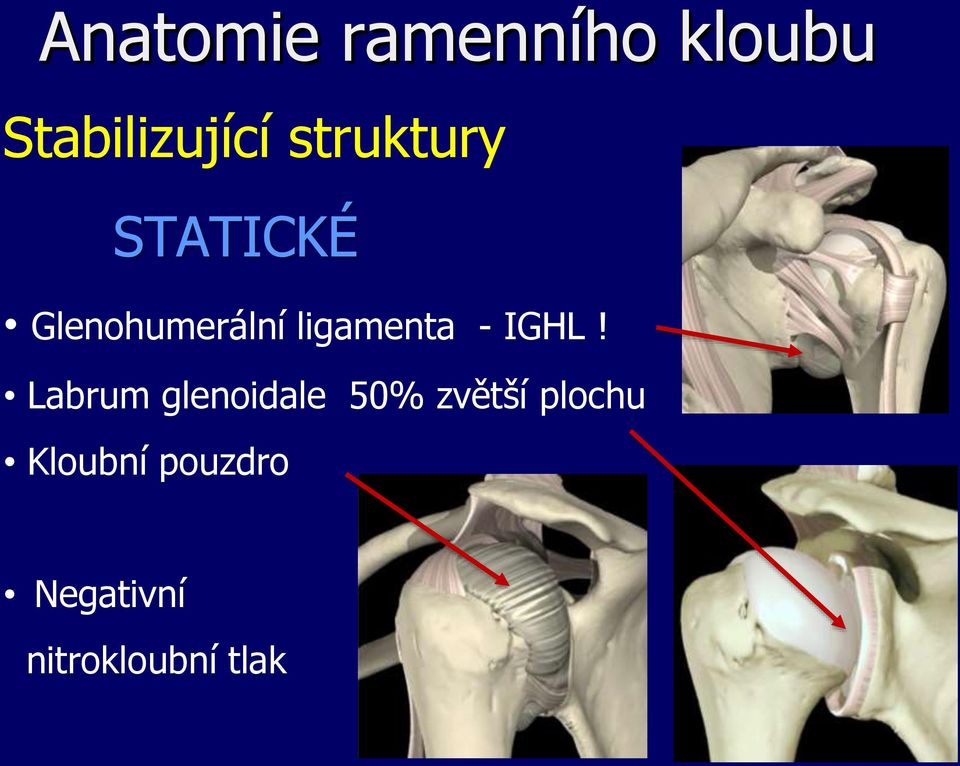 ligamenta - IGHL!