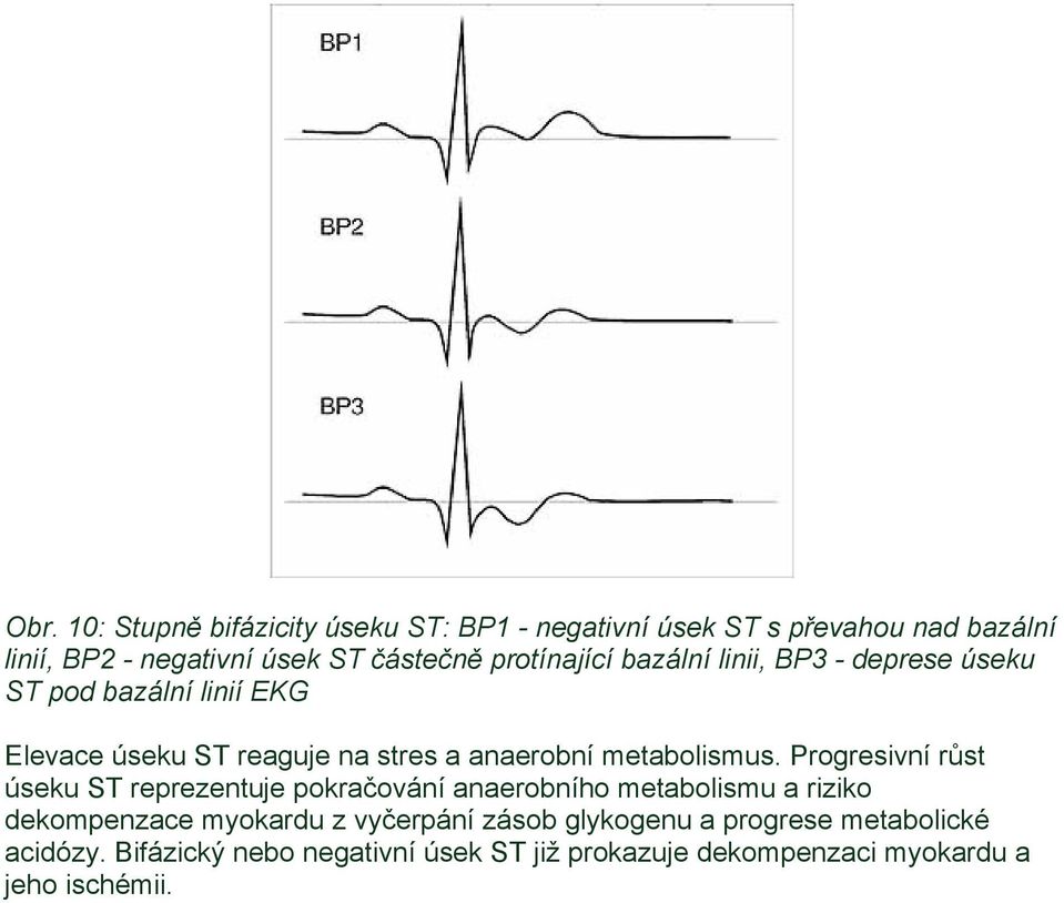 metabolismus.