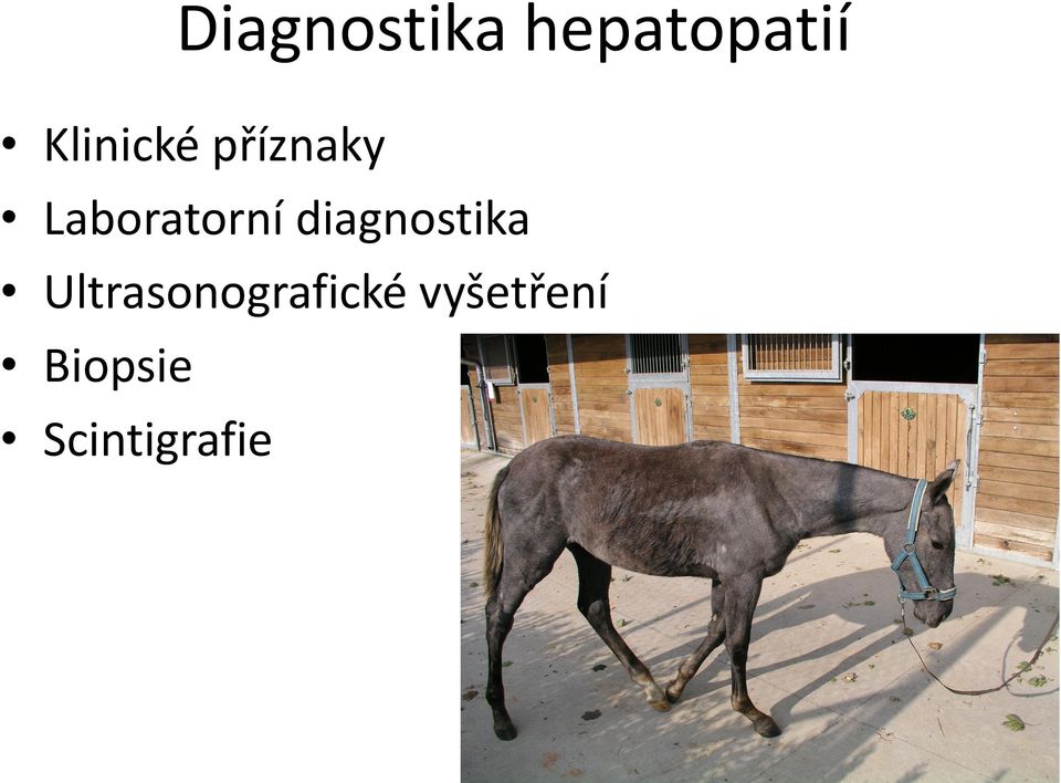 Laboratorní diagnostika