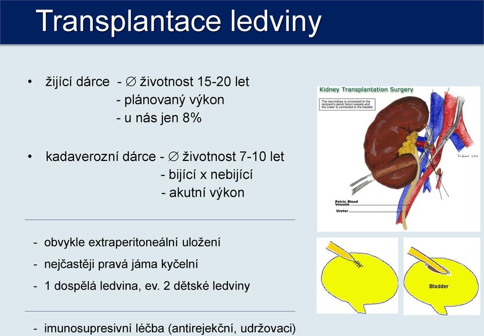 výkon - obvykle extraperitoneální uložení - nejčastěji pravá jáma kyčelní - 1