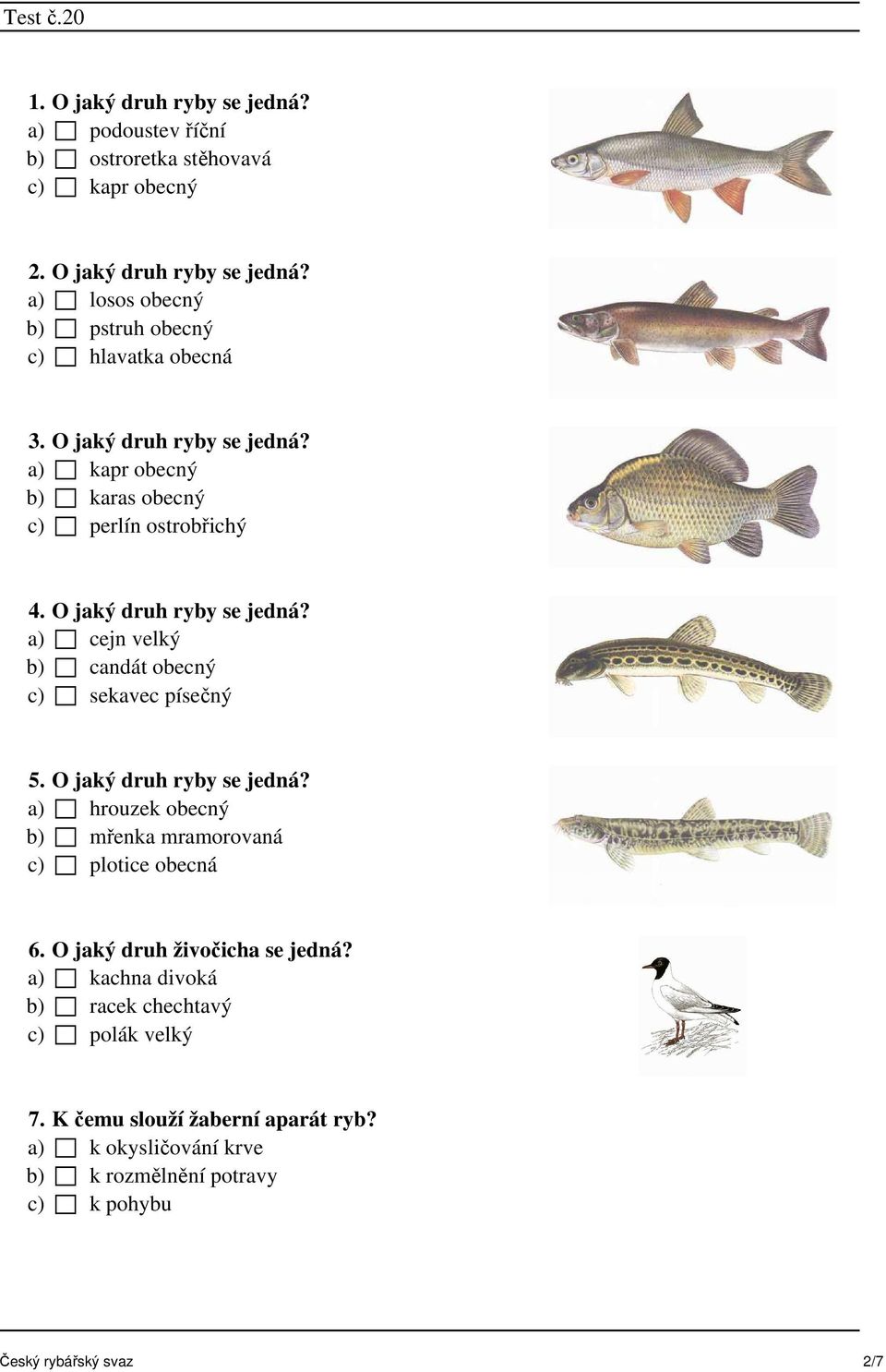 a) cejn velký b) candát obecný c) sekavec písečný 5. O jaký druh ryby se jedná? a) hrouzek obecný b) mřenka mramorovaná c) plotice obecná 6.