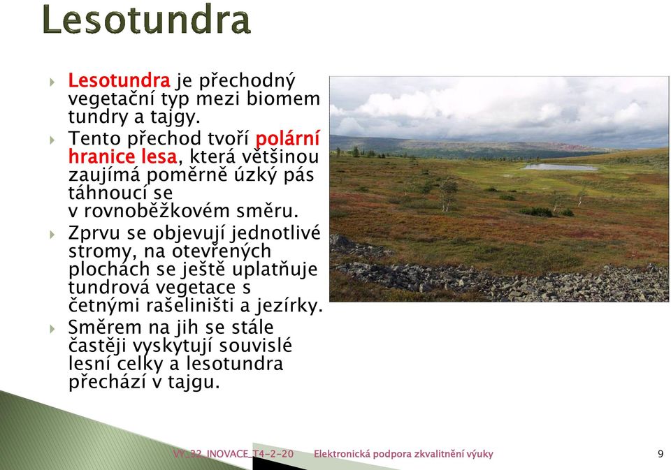 Zprvu se objevují jednotlivé stromy, na otevřených plochách se ještě uplatňuje tundrová vegetace s četnými