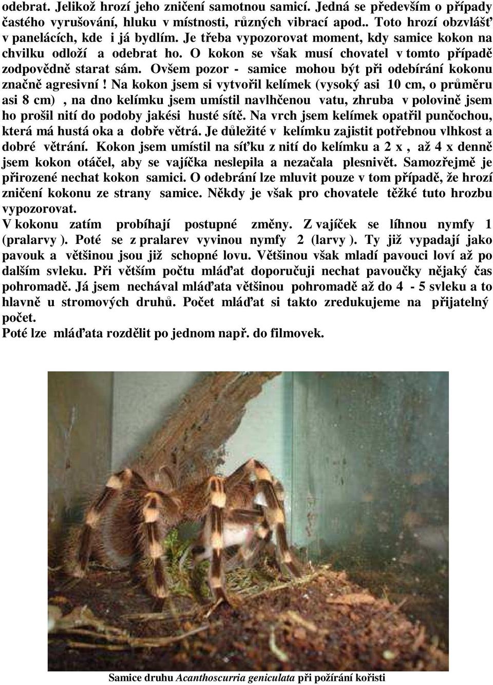 Ovšem pozor - samice mohou být při odebírání kokonu značně agresivní!