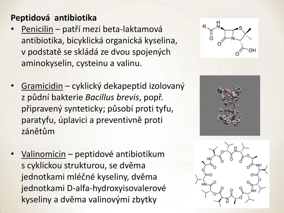 připravený synteticky; působí proti tyfu, paratyfu, úplavici a preventivně proti zánětům Valinomicin peptidové antibiotikum s