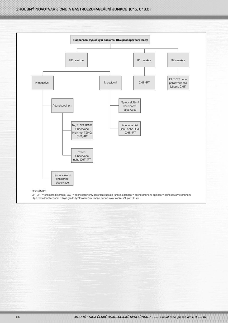 Spinocelulární karcinom: observace Tis, T1N0 T2N0: Observace High risk T2N0: CHT/RT Adenoca dist jícnu nebo EGJ: CHT/RT T3N0: Observace nebo CHT/RT Spinocelulární karcinom: observace