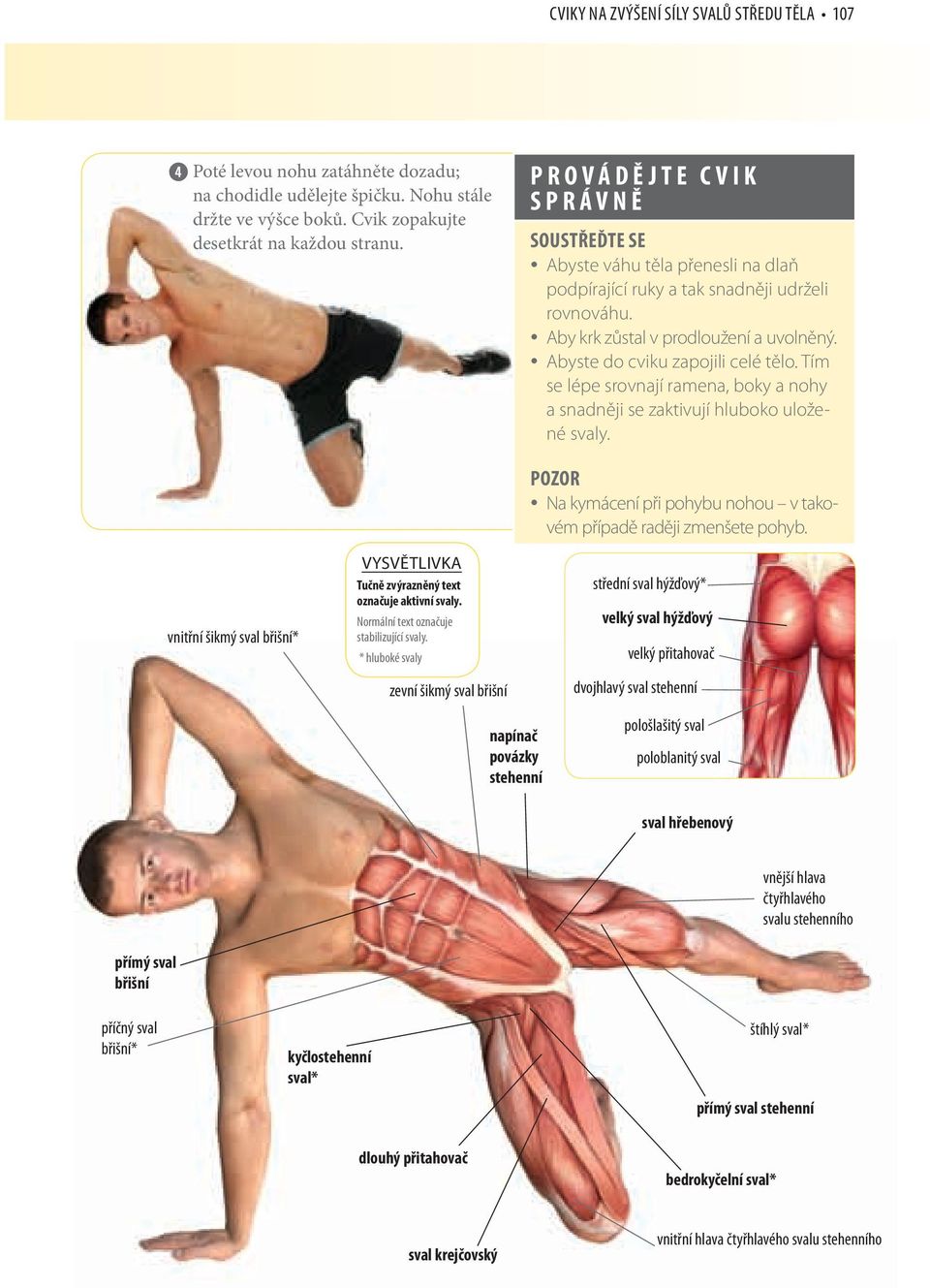 Tím se lépe srovnají ramena, boky a nohy a snadněji se zaktivují hluboko uložené svaly. vnitřní šikmý sval břišní* VYSVĚTLIVKA Tučně zvýrazněný text označuje aktivní svaly.
