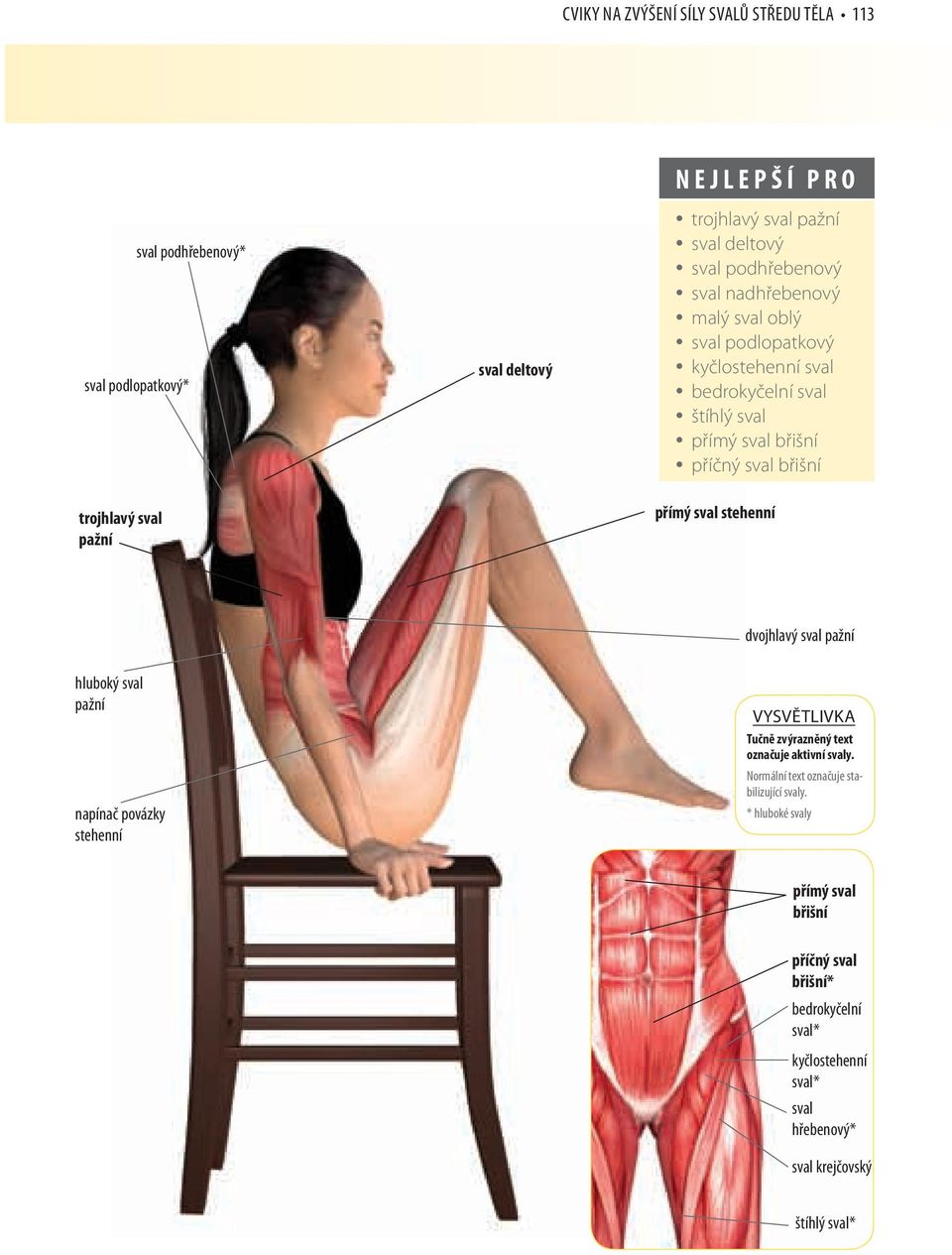 sval pažní přímý sval dvojhlavý sval pažní hluboký sval pažní napínač povázky VYSVĚTLIVKA Tučně zvýrazněný text označuje aktivní svaly.