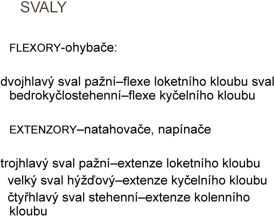 napínače trojhlavý sval pažní extenze loketního kloubu velký sval