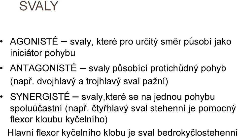 dvojhlavý a trojhlavý sval pažní) SYNERGISTÉ svaly,které se na jednou pohybu