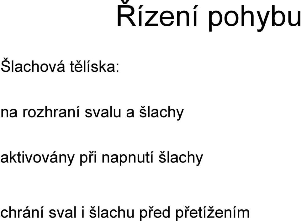 aktivovány při napnutí šlachy