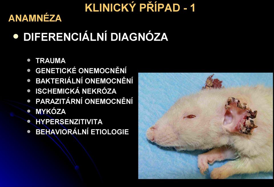 BAKTERIÁLNÍ ONEMOCNĚNÍ ISCHEMICKÁ NEKRÓZA