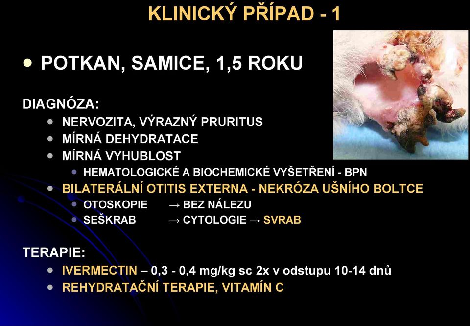 BILATERÁLNÍ OTITIS EXTERNA - NEKRÓZA UŠNÍHO BOLTCE OTOSKOPIE SEŠKRAB BEZ NÁLEZU