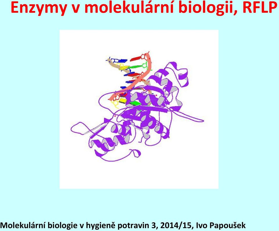 Molekulární biologie v