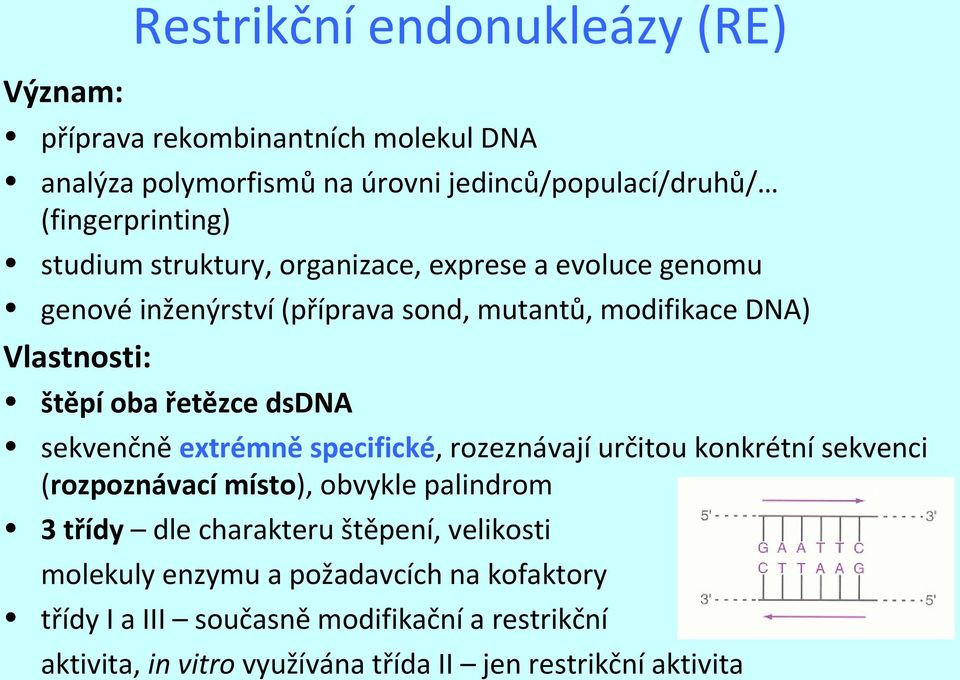 dsdna sekvenčně extrémně specifické, rozeznávají určitou konkrétní sekvenci (rozpoznávací místo), obvykle palindrom 3 třídy dle charakteru štěpení,