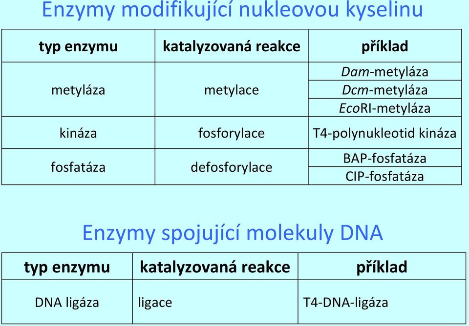 T4-polynukleotid kináza fosfatáza defosforylace BAP-fosfatáza CIP-fosfatáza Enzymy