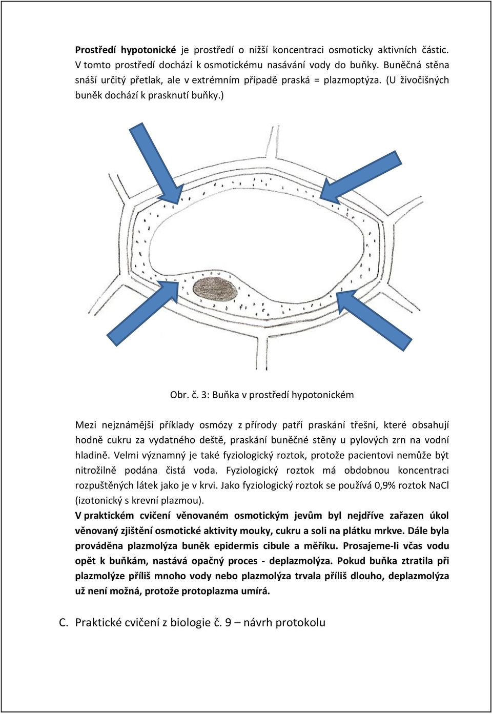 3: Buňka v prostředí hypotonickém Mezi nejznámější příklady osmózy z přírody patří praskání třešní, které obsahují hodně cukru za vydatného deště, praskání buněčné stěny u pylových zrn na vodní