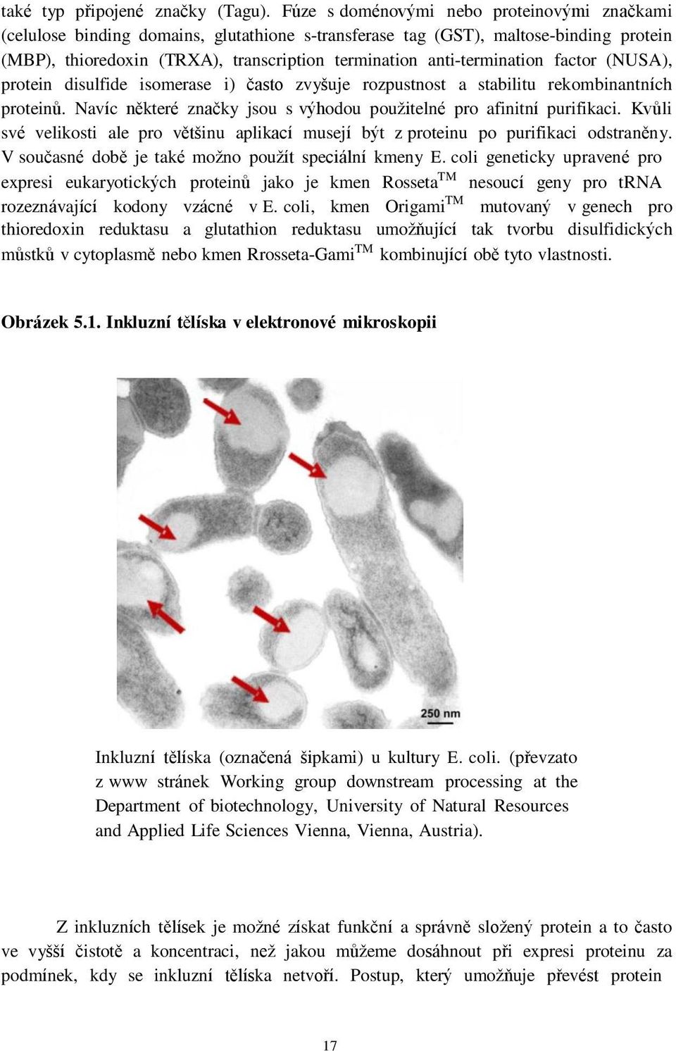 anti-termination factor (NUSA), protein disulfide isomerase i) často zvyšuje rozpustnost a stabilitu rekombinantních proteinů. Navíc některé značky jsou s výhodou použitelné pro afinitní purifikaci.