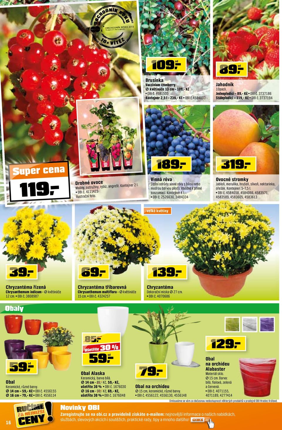 Vhodné k přímé konzumaci. Kontejner 4 l. OBI č. 2526630, 3484334 Ovocné stromky Jabloň, meruňka, hrušeň, slivoň, nektarinka, ořešák. Kontejner: 5 7,5 l. OBI č. 4584058, 4584066, 4583571, 4583589, 4583605, 4583613 velké květiny 39 Chryzantéma řízená Chrysanthemum indicum květináče 12 cm.