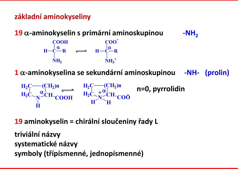 2 2 ( 2 )n + - N OO n=0, pyrrolidin 19 aminokyselin = chirální sloučeniny