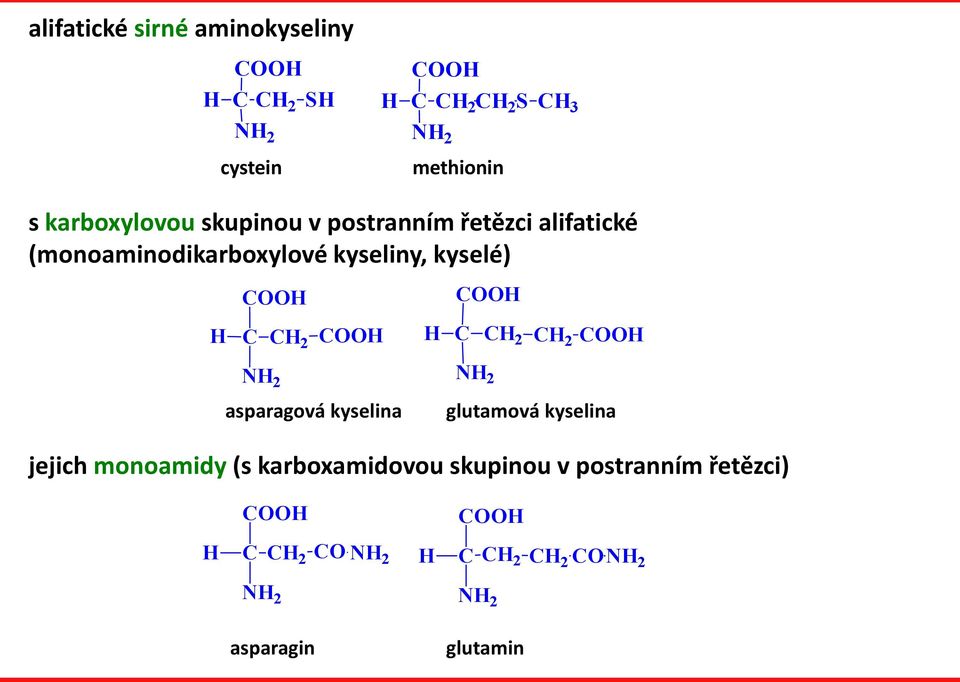 (monoaminodikarboxylové kyseliny, kyselé) 2 asparagová kyselina glutamová
