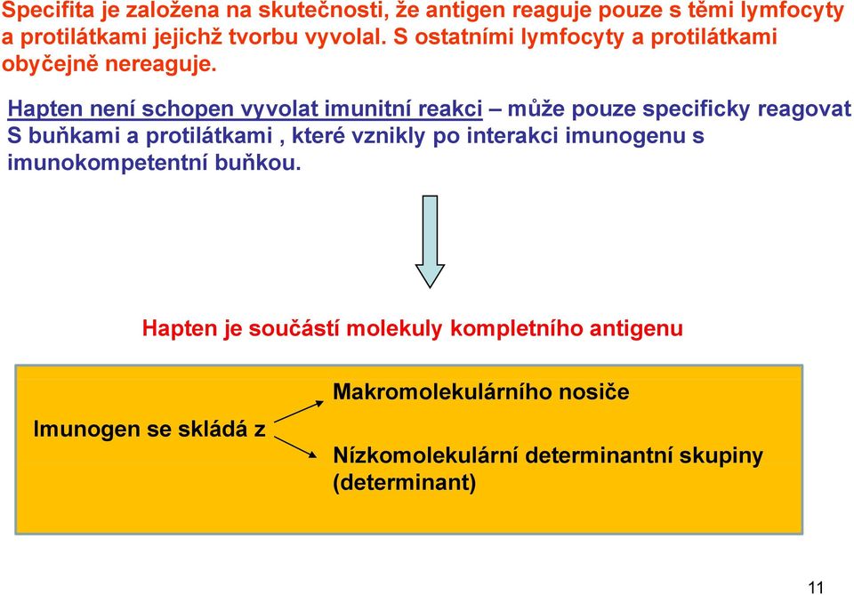 Hapten není schopen vyvolat imunitní reakci může pouze specificky reagovat S buňkami a protilátkami, které vznikly po