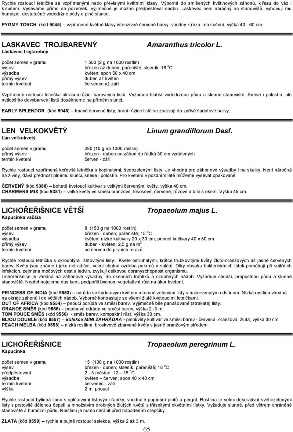 PYGMY TORCH (kód 9045) vzpřímené květné klasy intenzivně červené barvy, vhodný k řezu i na sušení, 40-60 cm. LASKAVEC TROJBAREVNÝ Amaranthus tricolor L.