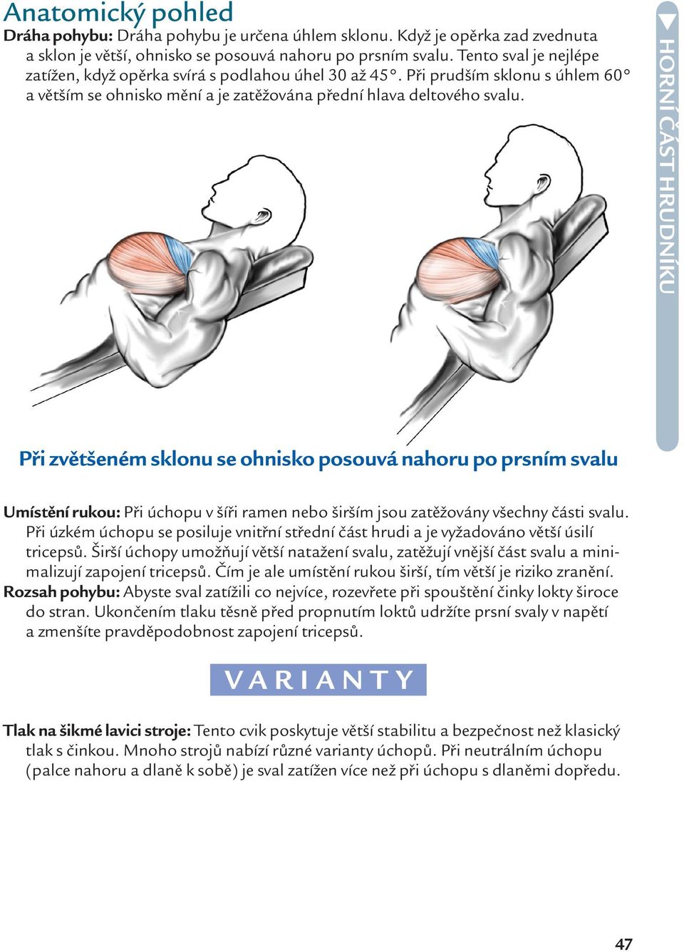 Při zvětšeném sklonu se ohnisko posouvá nahoru po prsním svalu Umístění rukou: Při úchopu v šíři ramen nebo širším jsou zatěžovány všechny části svalu.