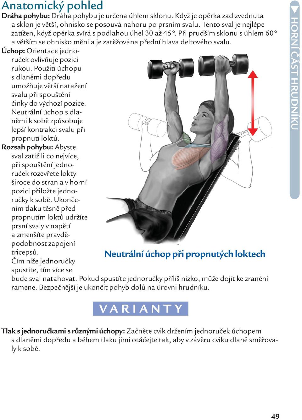 Úchop: Orientace jednoruček ovlivňuje pozici rukou. Použití úchopu s dlaněmi dopředu umožňuje větší natažení svalu při spouštění činky do výchozí pozice.