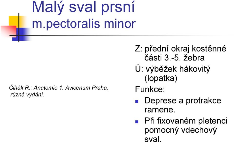 Z: přední okraj kostěnné části 3.-5.