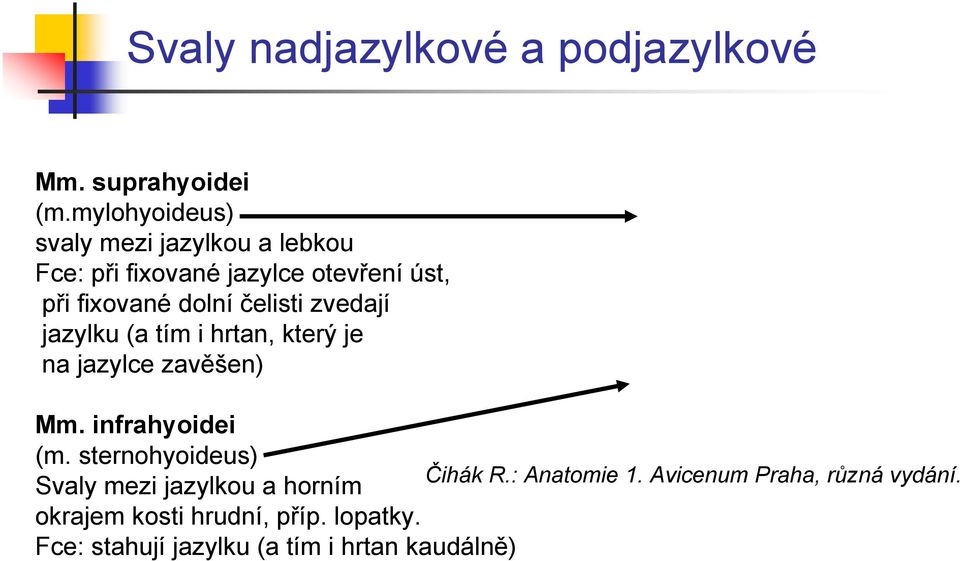 fixované dolní čelisti zvedají jazylku (a tím i hrtan, který je na jazylce zavěšen) Mm.