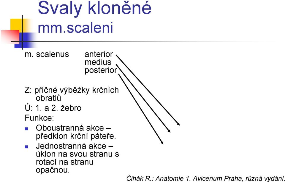 krčních obratlů Ú: 1. a 2.