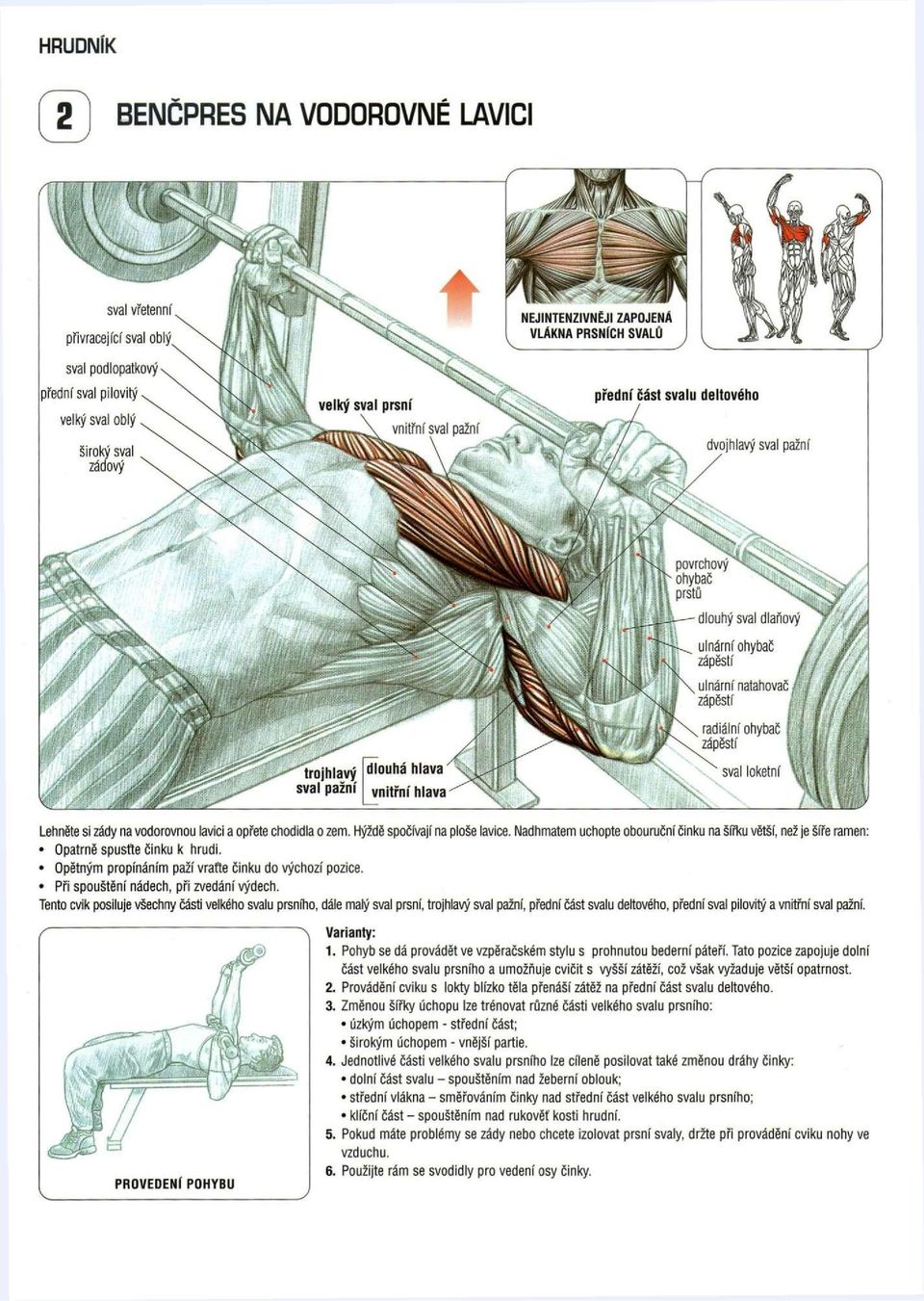Tento cvik posiluje všechny části velkého svalu prsního, dále malý sval prsní, trojhlavý sval pažní, přední část svalu deltového, přední sval pilovitý a vnitřní sval pažní. Varianty: 1.