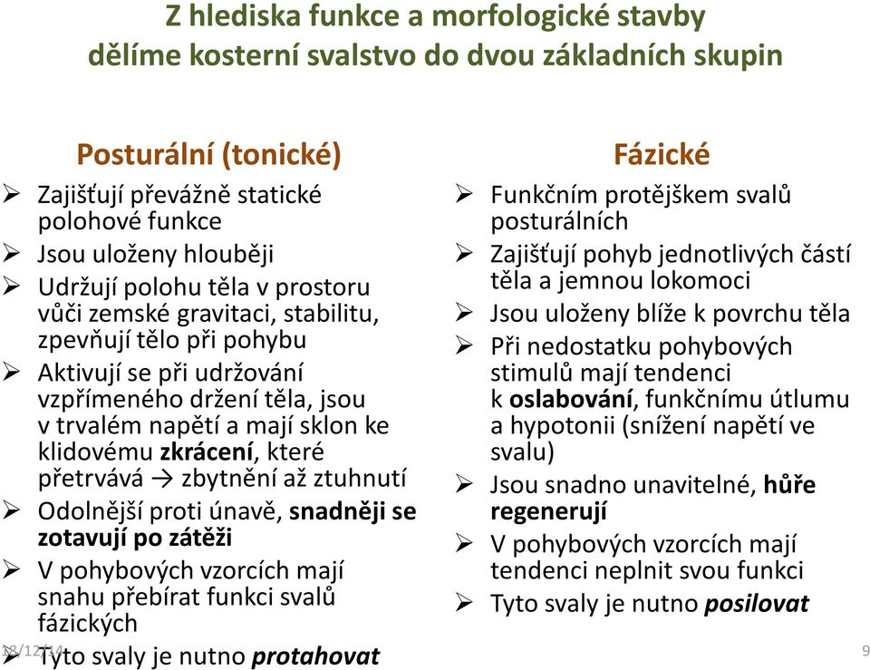 zbytnění až ztuhnutí Odolnější proti únavě, snadněji se zotavují po zátěži V pohybových vzorcích mají snahu přebírat funkci svalů fázických Tyto svaly je nutno protahovat Fázické Funkčním protějškem