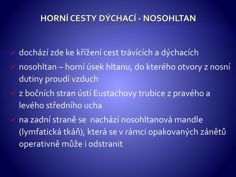 trubice z pravého a levého středního ucha na zadní straně se nachází nosohltanová