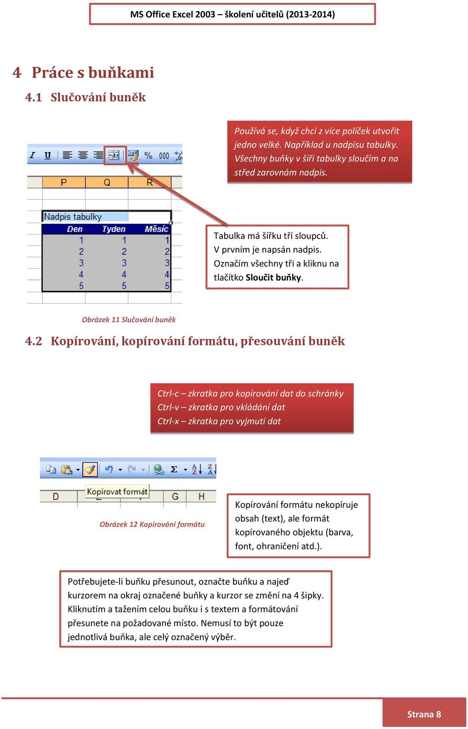 2 Kopírování, kopírování formátu, přesouvání buněk Ctrl-c zkratka pro kopírování dat do schránky Ctrl-v zkratka pro vkládání dat Ctrl-x zkratka pro vyjmutí dat Obrázek 12 Kopírování formátu