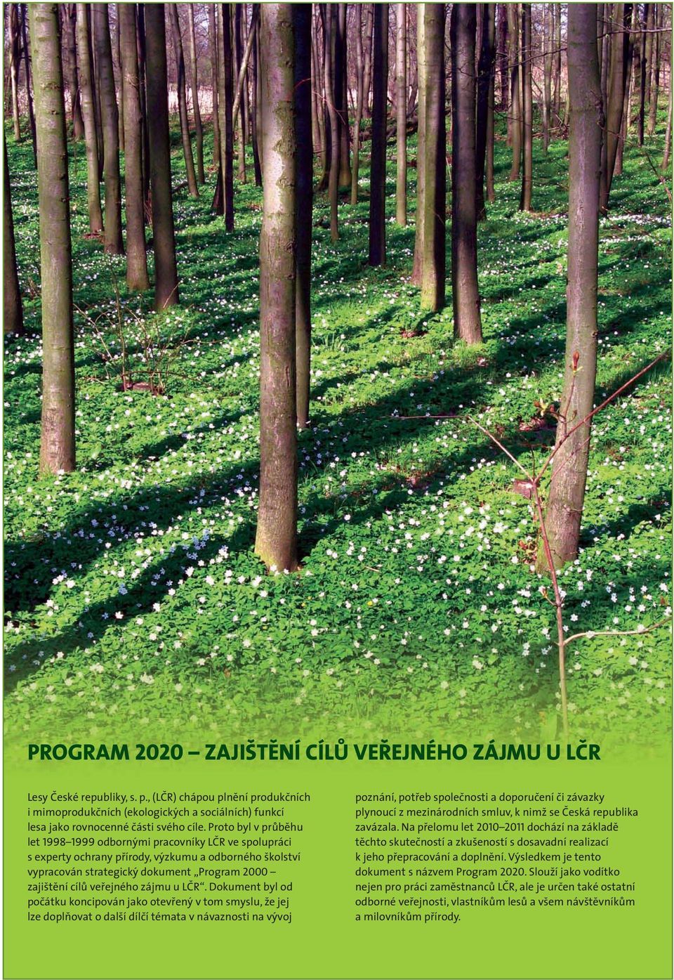 Proto byl v průběhu let 1998 1999 odbornými pracovníky LČR ve spolupráci s experty ochrany přírody, výzkumu a odborného školství vypracován strategický dokument Program 2000 zajištění cílů veřejného