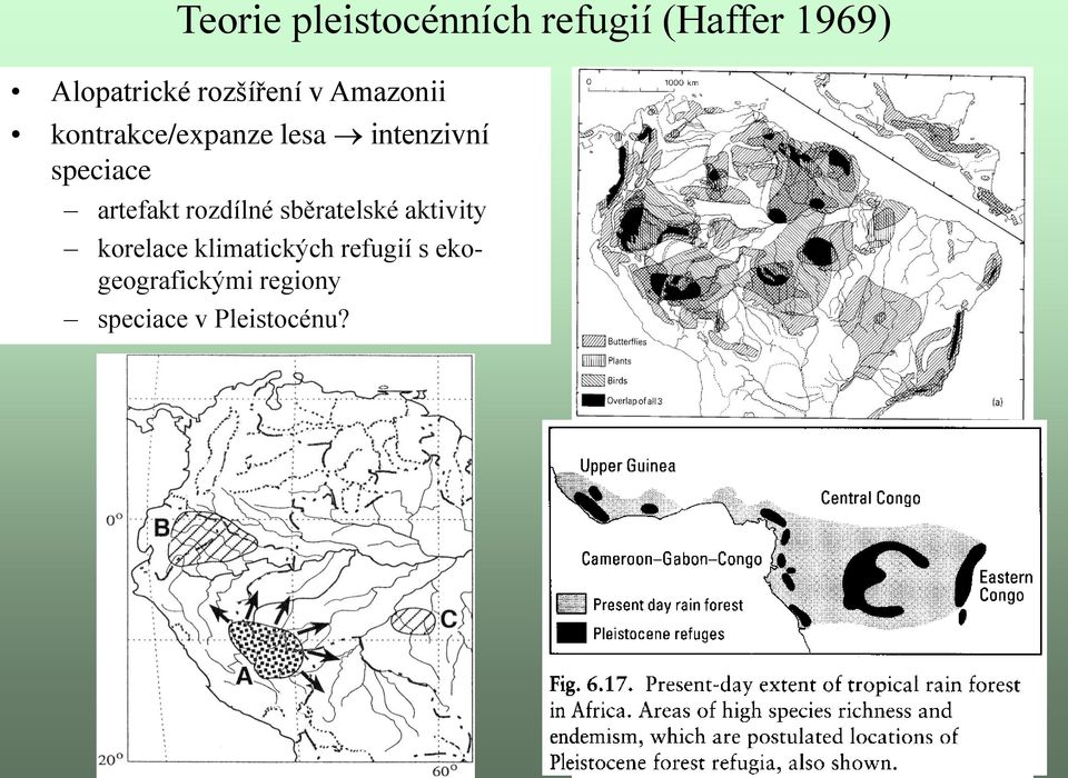speciace artefakt rozdílné sběratelské aktivity korelace