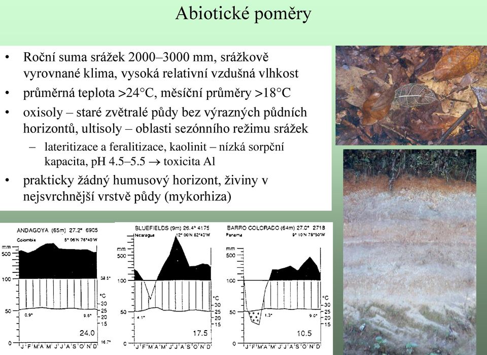 horizontů, ultisoly oblasti sezónního režimu srážek lateritizace a feralitizace, kaolinit nízká sorpční