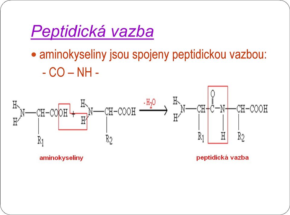 spojeny